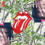 Cant Hear You (Explicit)