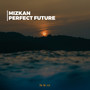 Perfect Future