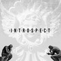 Introspect (Explicit)