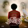 Stress (Explicit)