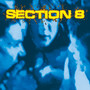 Section 8
