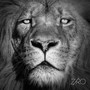 Lionheart EP
