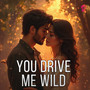 You Drive Me Wild