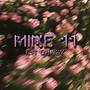 Mine 11
