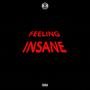 Feeling Insane (Explicit)