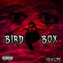 Bird Box (Explicit)