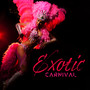 Exotic Carnival: Latin Dance Rhythms for Fiesta!