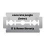 concrete jungle (intro) (feat. Rome Streetz) [Explicit]