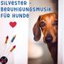 Silvester-Beruhigungsmusik für Hunde | Entspannungsmusik | Schlafmusik