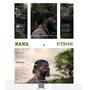 Mama (feat. First Boy) [Explicit]