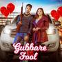 Gubbare Fool (Explicit)