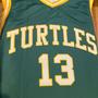 GO TURTLES!