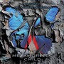 The Metamorphic Child (Explicit)