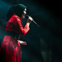 Pria Idaman
