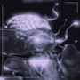 Mind Fog