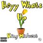 Heyy Whats Up (Explicit)