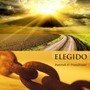 Elegido