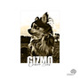 Gizmo (Explicit)