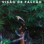 Visão de Falcão (Explicit)