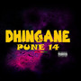 DHINGANE PUNE 14 (Explicit)