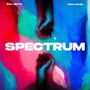 Spectrum (Tech House Remix)