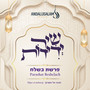 שיר ידידות פרשת בשלח