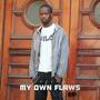 My Own Flaws EP