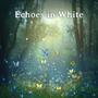 Echoes in White