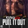 Pull It Out (Explicit)