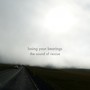 Losing Your Bearings