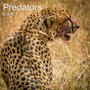 Predators (Explicit)