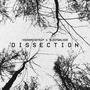 DISSECTION (Explicit)