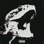 Cottonmouth (feat. Tripp) [Explicit]