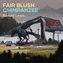 Fair Blush Chimpanzee