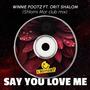 Say You Love Me (Shlomi Mor Remix Club)