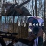 Big Woodz (Explicit)