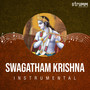 Swagatham Krishna (Instrumental)