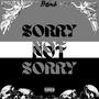 Sorry Not Sorry (Explicit)