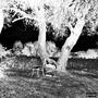 WITAM W MASARNII (feat. prod_timmy) [Explicit]