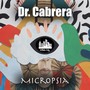 Micropsia