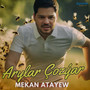 Arylar Çozýar
