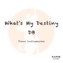 What's My Destiny Db (Piano Instrumental)