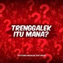 Trenggalek itu mana?