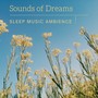 Sounds of Dreams - Sleep Music Ambience