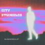 City Struggles (feat. LVP) [Explicit]