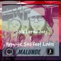 Malunde (feat. LaVos) [Hypnotic Soul Remix]