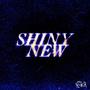 SHINY NEW (Explicit)