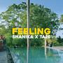 Feeling (feat. Taje) [Explicit]