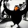 Blackbird
