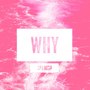 Why (Spanish Version)